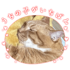 kyoko_20260405205708