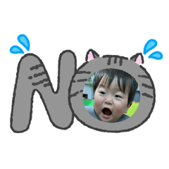 forest_20260406215635