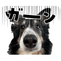 Kotogon_20260406215716