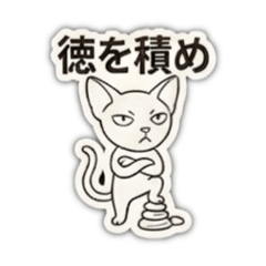 No cat No life_No,7