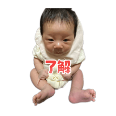 ninjin_20260406215643