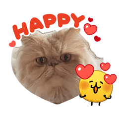 ohana_20260406095858