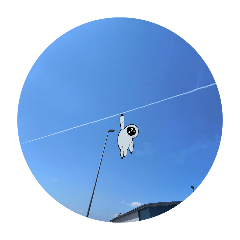 omusubi_20260406094536