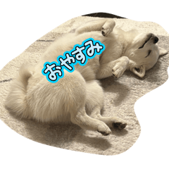 pakupaku_20260406224229