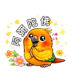 真實如如Suchness黏人小鸚鵡阿肥