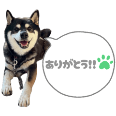 fujimin_20260405215244