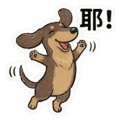 我家有臘腸狗(戀愛篇)