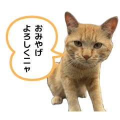 yukapple_20260406133947