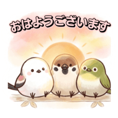 chocotto_20260406220603