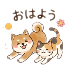 tiwawarunrun_20260406220408