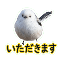 Long Tailed Tit Greeting 11