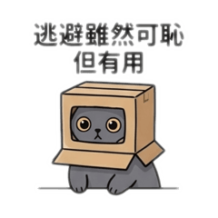 英短貓 芋粿抽象日常