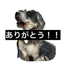 aotaku_20260407003606