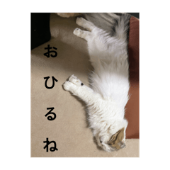 Daikostanpu_20260407003541