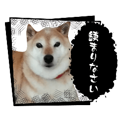 shivaz_20260407005007