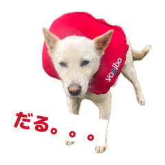 Haruto_20260407005710