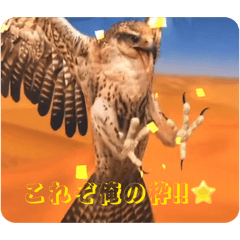 tensisama_20260403150826