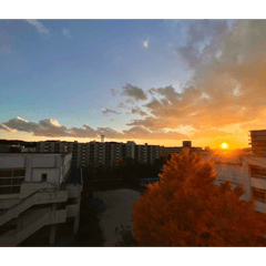 Kawachan_20260403130456