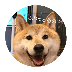 nishi_20260406170739