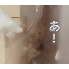 doubutusannti_20260406171719