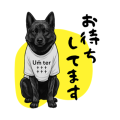 Nontan_20260402120147