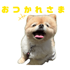 aaaay_20260405231349