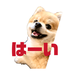 omega_20260405231312