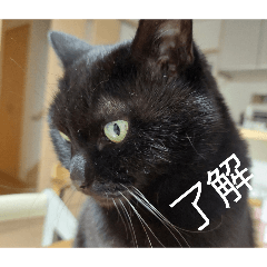 nanako_20260407051235