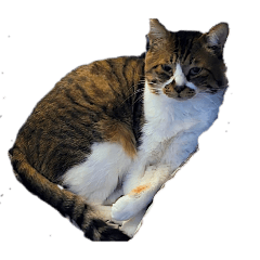 maron_20260406184956