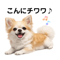 Yeeeeeee!_20260406190225