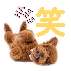 トイプードルプリティ16 一文字