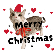 Suzuki_20260407080638