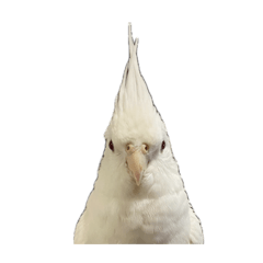 Ochawan_20260407082047