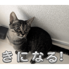 iku_20260406092607