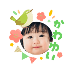 sochan_20260406094116