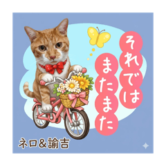 himayan_20260406093943