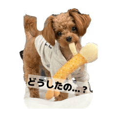 chestnuts_20260406094107