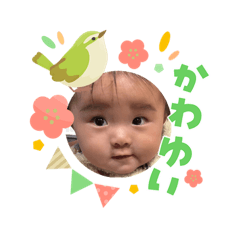 IWASA_20260406094103