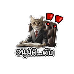 Chichin_20260406192447