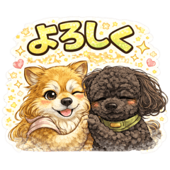 ahsn1117_20260406092644