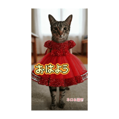 himayan_20260407092540