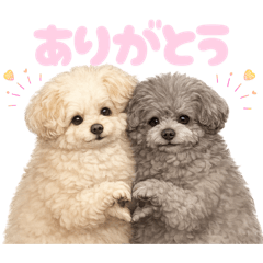 DOG STAMP ORDER_20260407092618