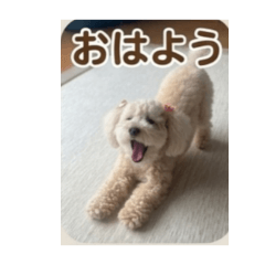 doramihime_20260407092634