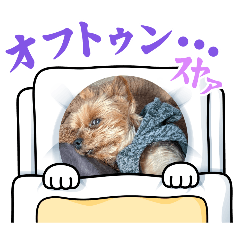 MARIA_20260407093048