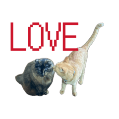 maiko_20260407094810