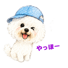 mahalo_20260407095558