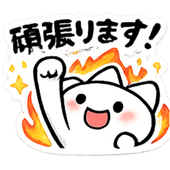 kaikai_20260407100016