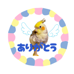 manmanyou_20260407101726