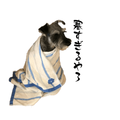 momotarou_20260407102725