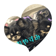 mikki_20260407103001